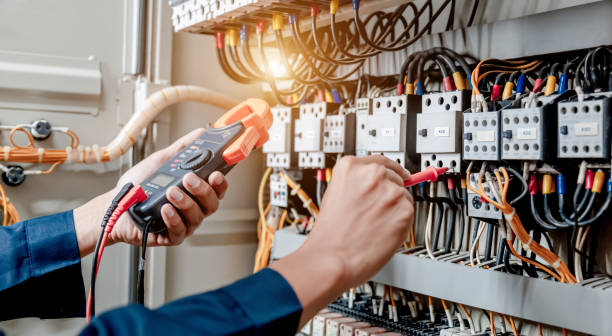 Best Electric Panel Repair  in Citrus City, TX